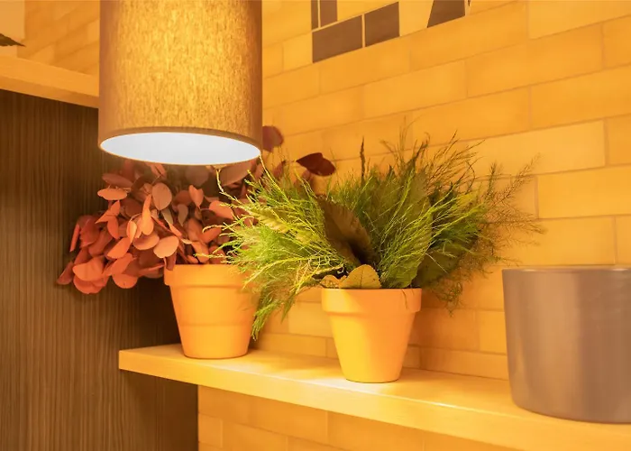 Aparthotel Calm Appart' & Rijsel