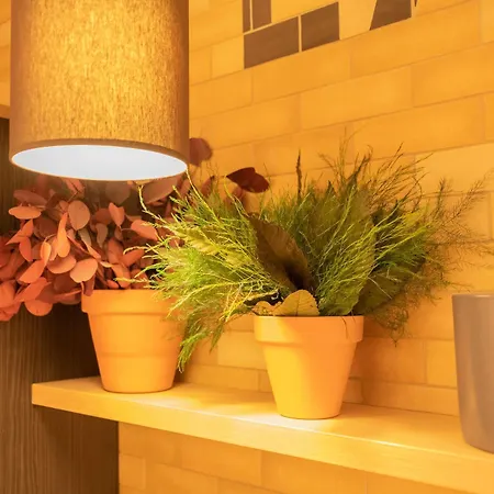 Calm Appart' & Lägenhetshotell